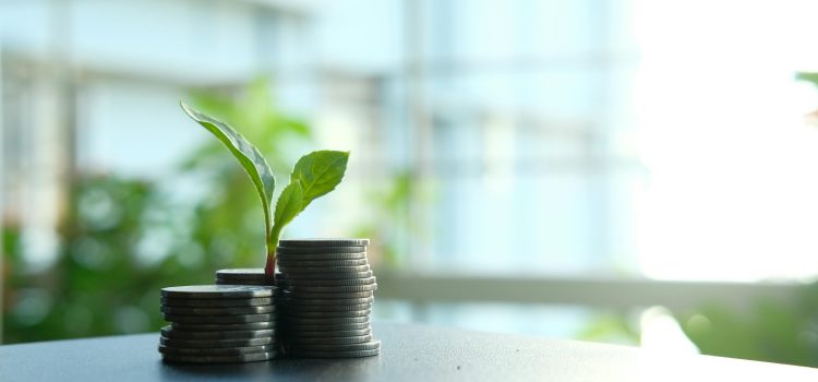 Diferentes maneras de invertir en startups: VC, Family Office y Business Angels